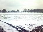 Český Těšín